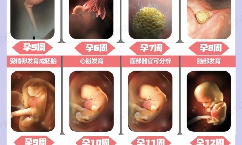 淮山煲鸡孕妇能吃吗-淮山红枣煲乌鸡汤孕妇可以吃吗网 :分享淮山红枣煲乌鸡汤孕妇可以吃吗-淮山乌鸡汤孕妇可以喝吗知识